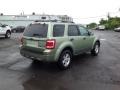 Kiwi Green Metallic - Escape Hybrid 4WD Photo No. 5