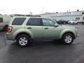 Kiwi Green Metallic - Escape Hybrid 4WD Photo No. 6