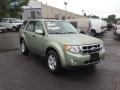 Kiwi Green Metallic - Escape Hybrid 4WD Photo No. 7