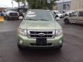 Kiwi Green Metallic - Escape Hybrid 4WD Photo No. 8