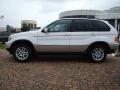 Titanium Silver Metallic - X5 3.0i Photo No. 2