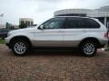 2004 Titanium Silver Metallic BMW X5 3.0i  photo #2