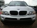Titanium Silver Metallic - X5 3.0i Photo No. 8