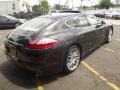 Topaz Brown Metallic - Panamera 4S Photo No. 4