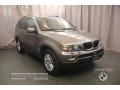 Stratus Grey Metallic - X5 3.0i Photo No. 7