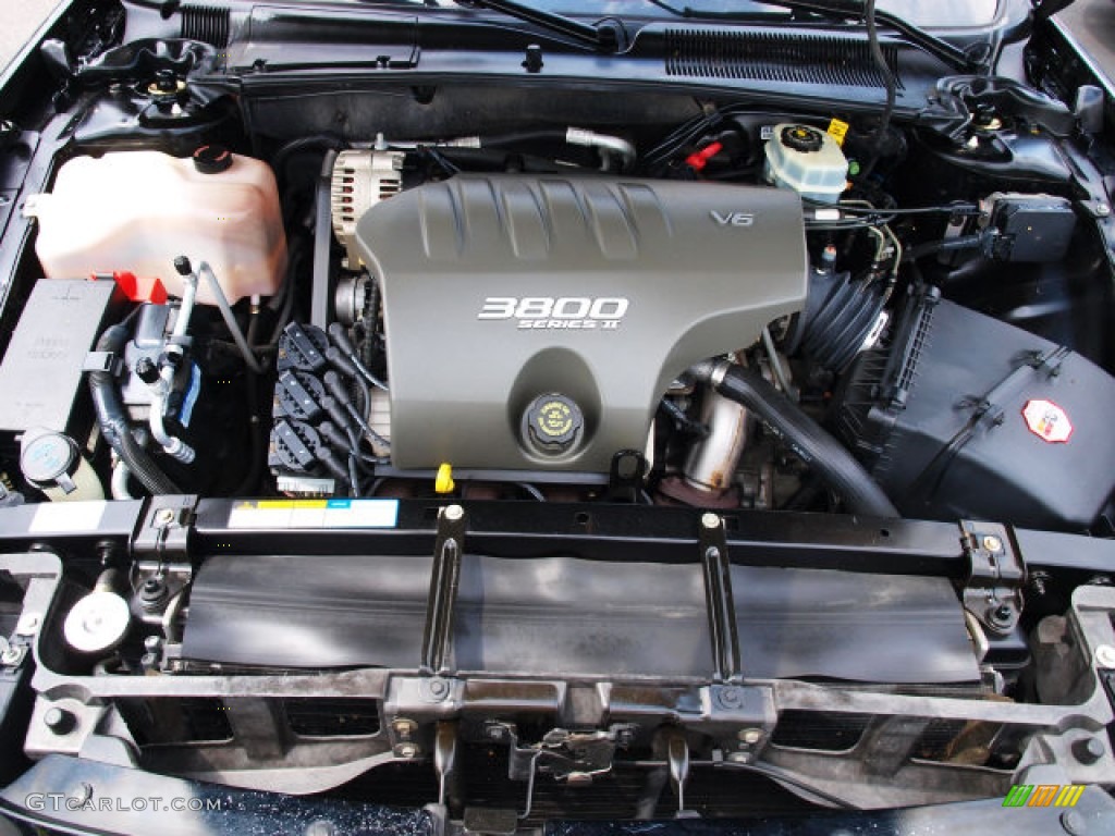 2000 LeSabre Custom - Black / Taupe photo #7