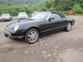 Evening Black 2002 Ford Thunderbird Premium Roadster Exterior