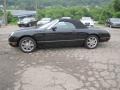 Evening Black - Thunderbird Premium Roadster Photo No. 2