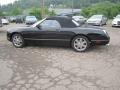 Evening Black - Thunderbird Premium Roadster Photo No. 3