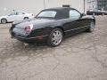 Evening Black - Thunderbird Premium Roadster Photo No. 7