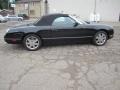 Evening Black - Thunderbird Premium Roadster Photo No. 8