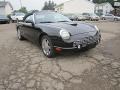 Evening Black - Thunderbird Premium Roadster Photo No. 10