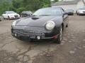 Evening Black - Thunderbird Premium Roadster Photo No. 13