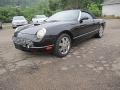 Evening Black - Thunderbird Premium Roadster Photo No. 14