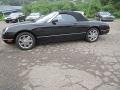 Evening Black - Thunderbird Premium Roadster Photo No. 15
