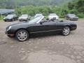Evening Black - Thunderbird Premium Roadster Photo No. 20