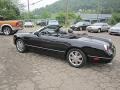 Evening Black - Thunderbird Premium Roadster Photo No. 21
