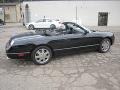 Evening Black - Thunderbird Premium Roadster Photo No. 23