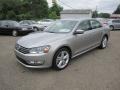 Tungsten Silver Metallic - Passat V6 SEL Photo No. 15