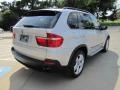 Titanium Silver Metallic - X5 3.0si Photo No. 10