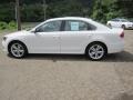 Candy White 2013 Volkswagen Passat V6 SE Exterior