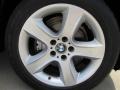 Titanium Silver Metallic - X5 3.0si Photo No. 47