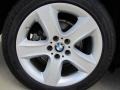 Titanium Silver Metallic - X5 3.0si Photo No. 49