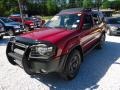 2002 Molten Lava Metallic Nissan Xterra SE V6 4x4  photo #11