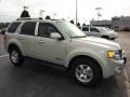 2008 Light Sage Metallic Ford Escape Limited  photo #2