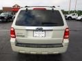 2008 Light Sage Metallic Ford Escape Limited  photo #5