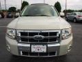 2008 Light Sage Metallic Ford Escape Limited  photo #8