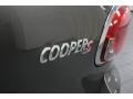 Royal Gray Metallic - Cooper S Paceman Photo No. 29