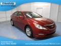 Sparkling Ruby - Sonata GLS Photo No. 4