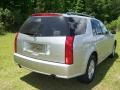 Light Platinum - SRX V6 Photo No. 11