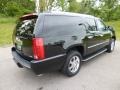 Black Raven - Escalade ESV AWD Photo No. 6