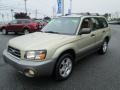 Sierra Gold Metallic - Forester 2.5 XS Photo No. 2