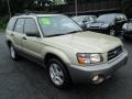 Sierra Gold Metallic - Forester 2.5 XS Photo No. 4