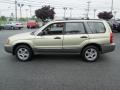 Sierra Gold Metallic - Forester 2.5 XS Photo No. 9
