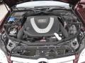 2009 Barolo Red Metallic Mercedes-Benz CLS 550  photo #22