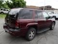 2006 Bordeaux Red Metallic Chevrolet TrailBlazer LS 4x4  photo #8