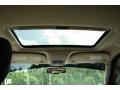 White Suede - Explorer Sport Trac Limited 4x4 Photo No. 17