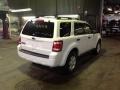 White Suede - Escape XLT 4WD Photo No. 5