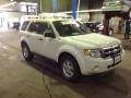 2011 White Suede Ford Escape XLT 4WD  photo #7
