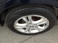 2006 Royal Blue Pearl Honda Accord SE Sedan  photo #9