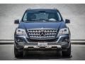 Steel Grey Metallic - ML 350 Photo No. 2