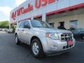 2010 Ingot Silver Metallic Ford Escape XLT 4WD  photo #1