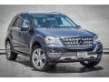 Steel Grey Metallic - ML 350 Photo No. 12