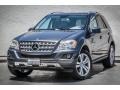 Steel Grey Metallic - ML 350 Photo No. 13