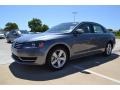 Platinum Gray Metallic - Passat 2.5L SE Photo No. 1