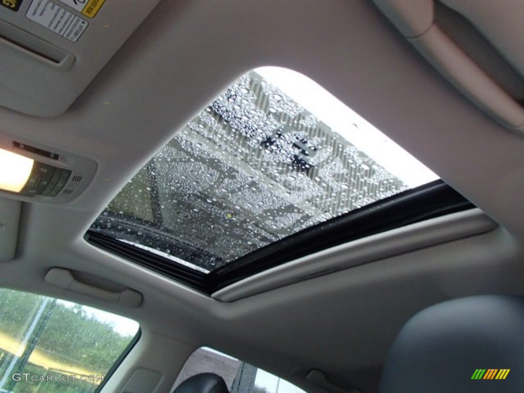 2010 RX 450h AWD Hybrid - Truffle Brown Mica / Black/Brown Walnut photo #13